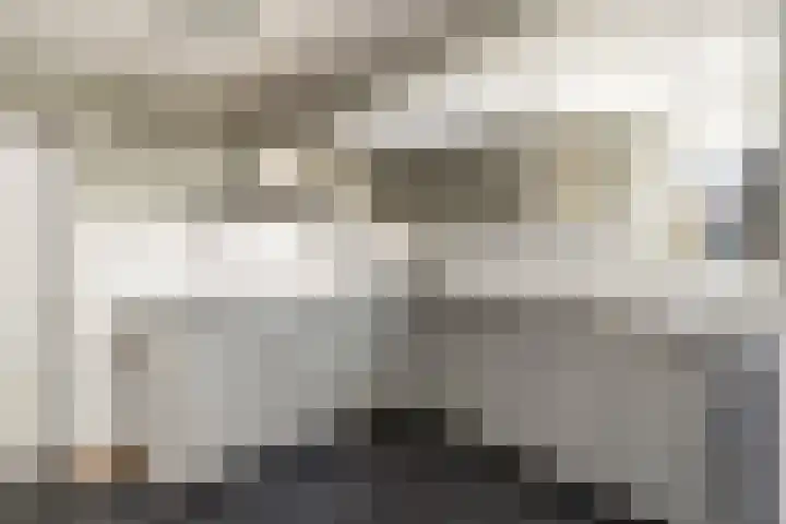 Kistenmaker 10 Wesepe thumbnail 17