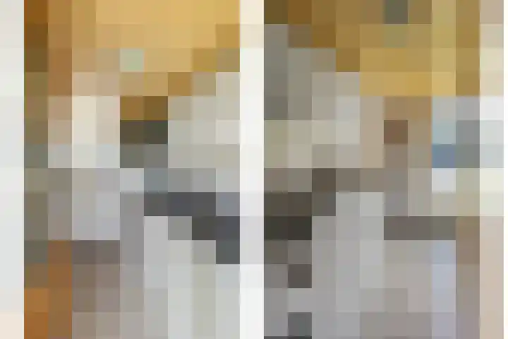 Kistenmaker 10 Wesepe thumbnail 18