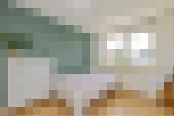 Kistenmaker 10 Wesepe thumbnail 24