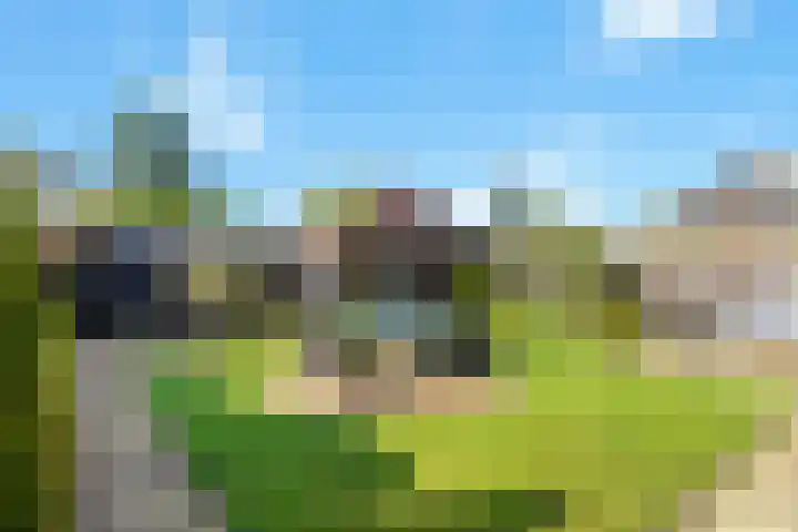 Kistenmaker 10 Wesepe thumbnail 39