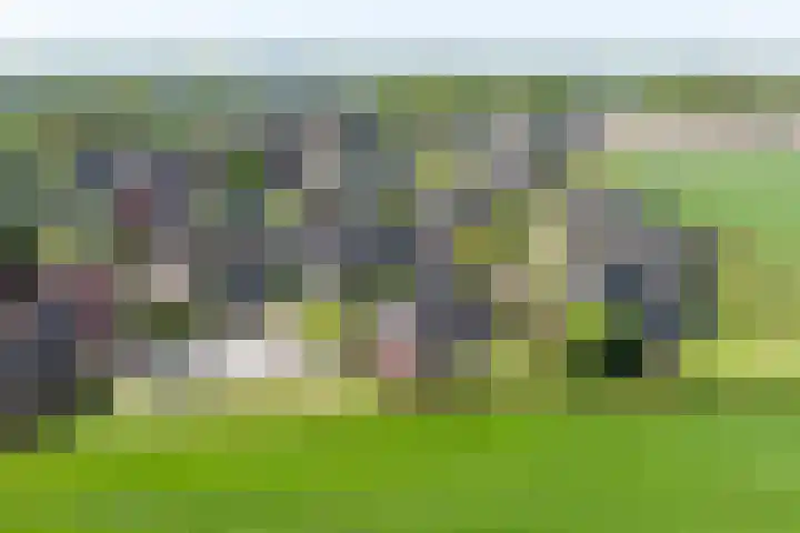 Kistenmaker 10 Wesepe thumbnail 4