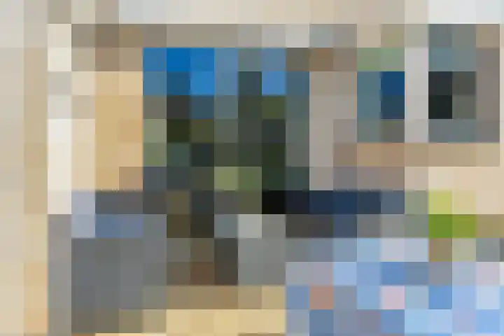 Kistenmaker 10 Wesepe thumbnail 43