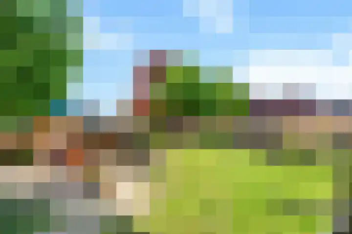 Kistenmaker 10 Wesepe thumbnail 44