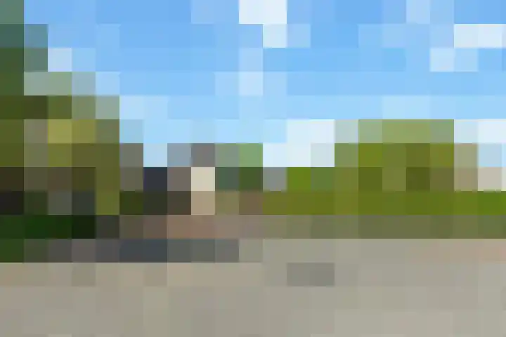 Kistenmaker 10 Wesepe thumbnail 7