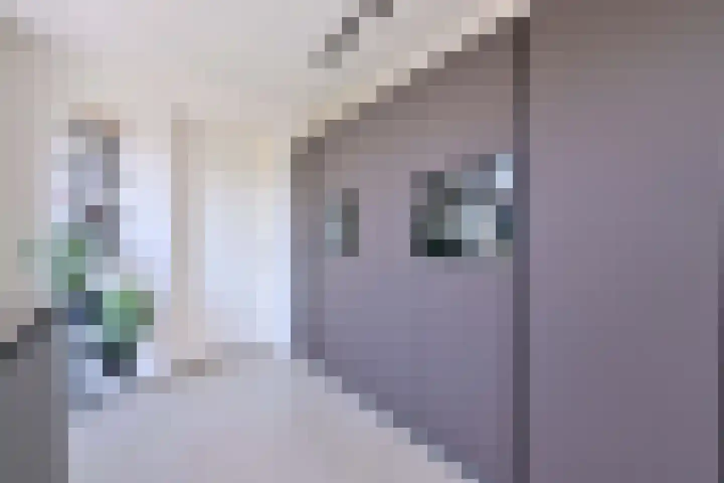 Kistenmaker 5 Wesepe thumbnail 11