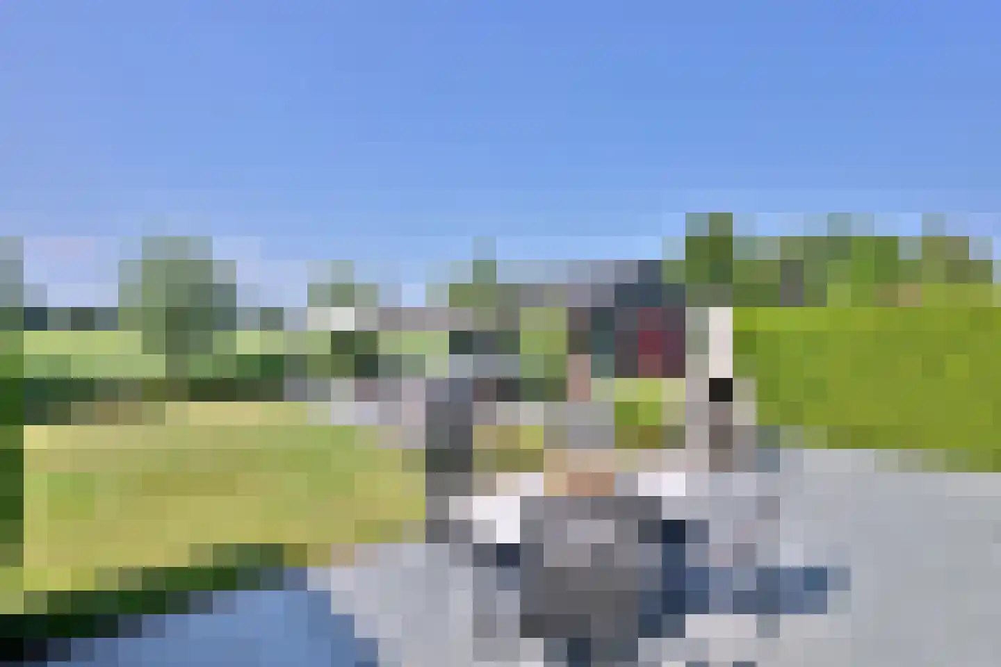 Kistenmaker 5 Wesepe thumbnail 13