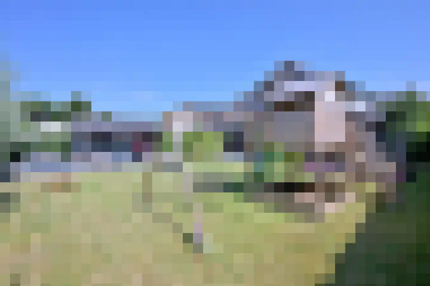 Kistenmaker 5 Wesepe thumbnail 15