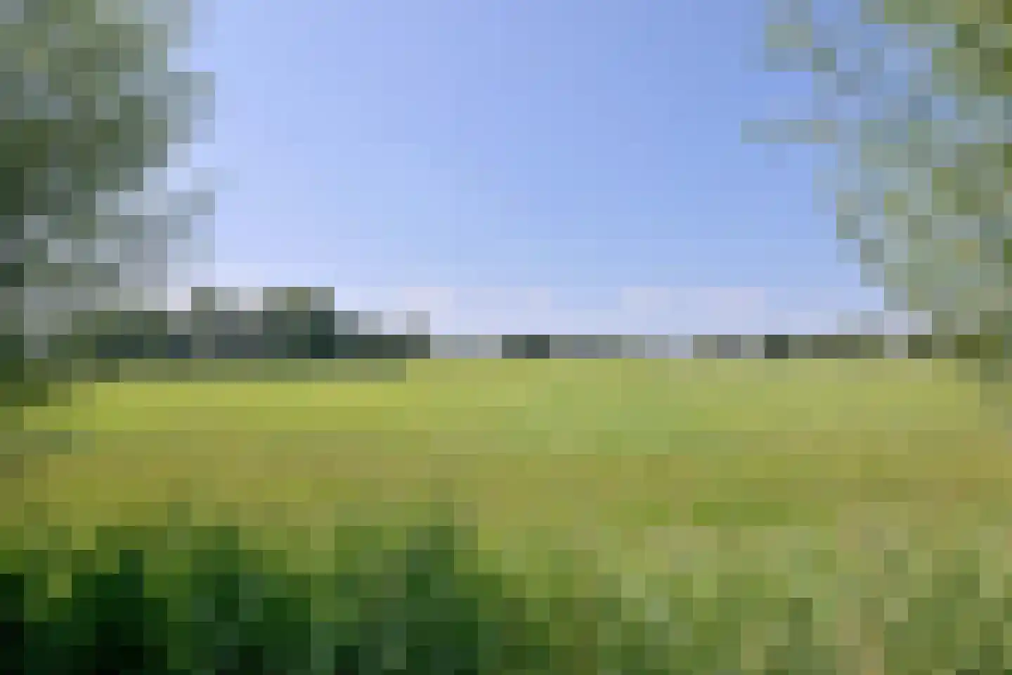 Kistenmaker 5 Wesepe thumbnail 19