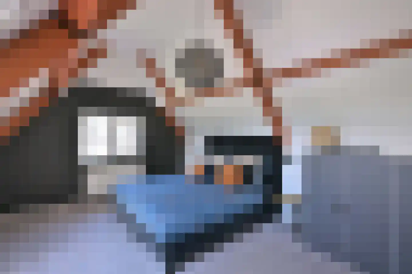 Kistenmaker 5 Wesepe thumbnail 27