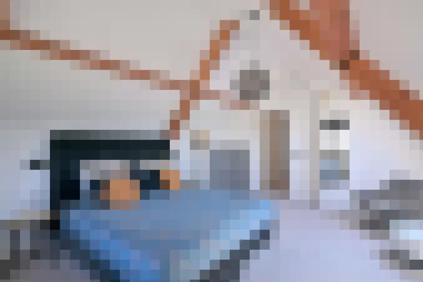 Kistenmaker 5 Wesepe thumbnail 30