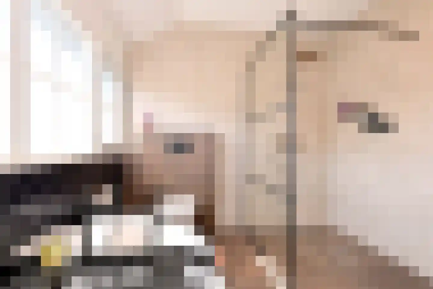 Kistenmaker 5 Wesepe thumbnail 38