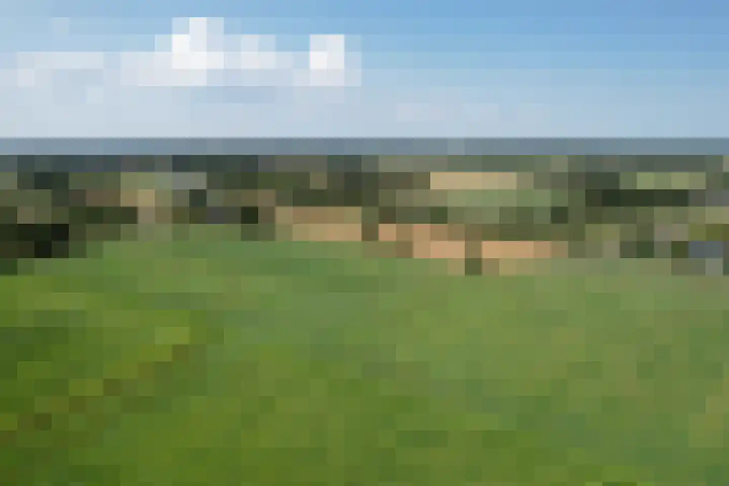 Kistenmaker 5 Wesepe thumbnail 47