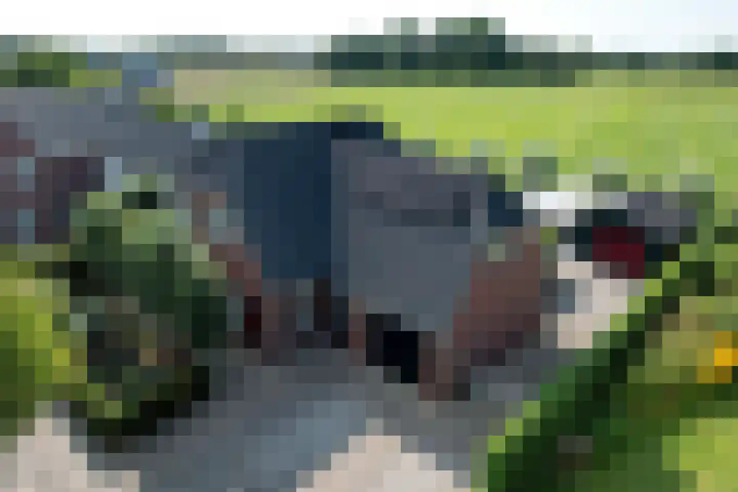 Kistenmaker 5 Wesepe thumbnail 48