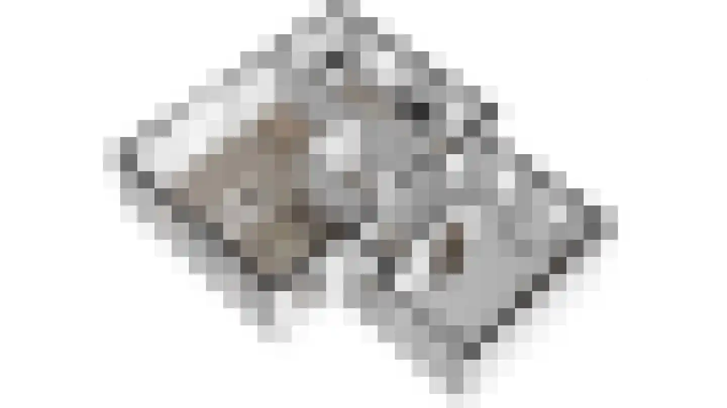 Kistenmaker 5 Wesepe thumbnail 57