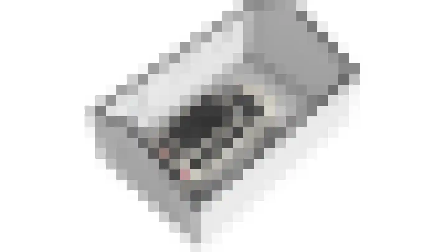 Kistenmaker 5 Wesepe thumbnail 60
