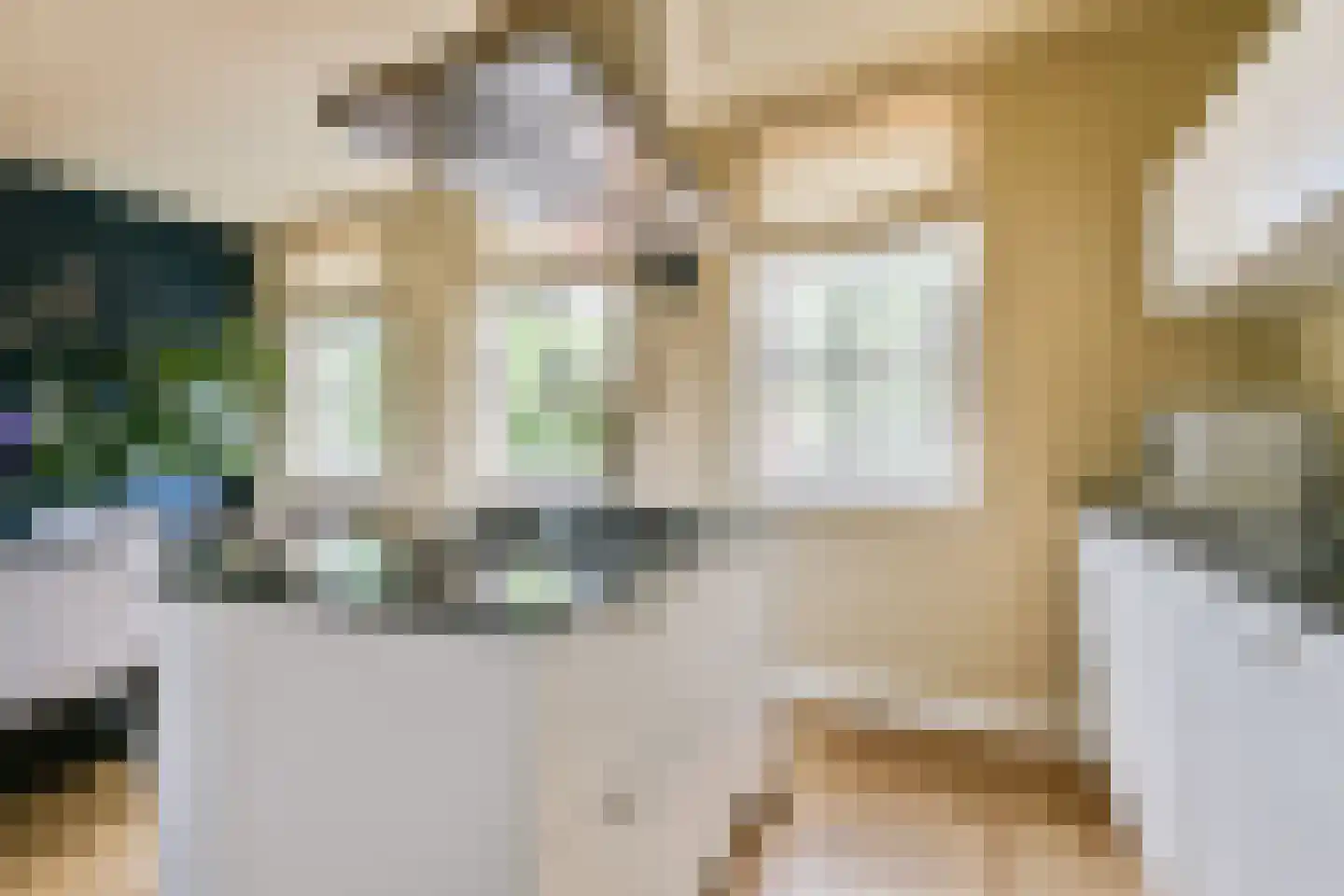 Kistenmakerseiland 13 Landsmeer thumbnail 10
