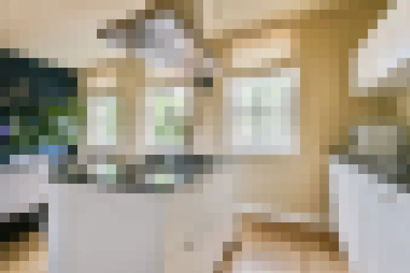 Kistenmakerseiland 13 Landsmeer thumbnail 10
