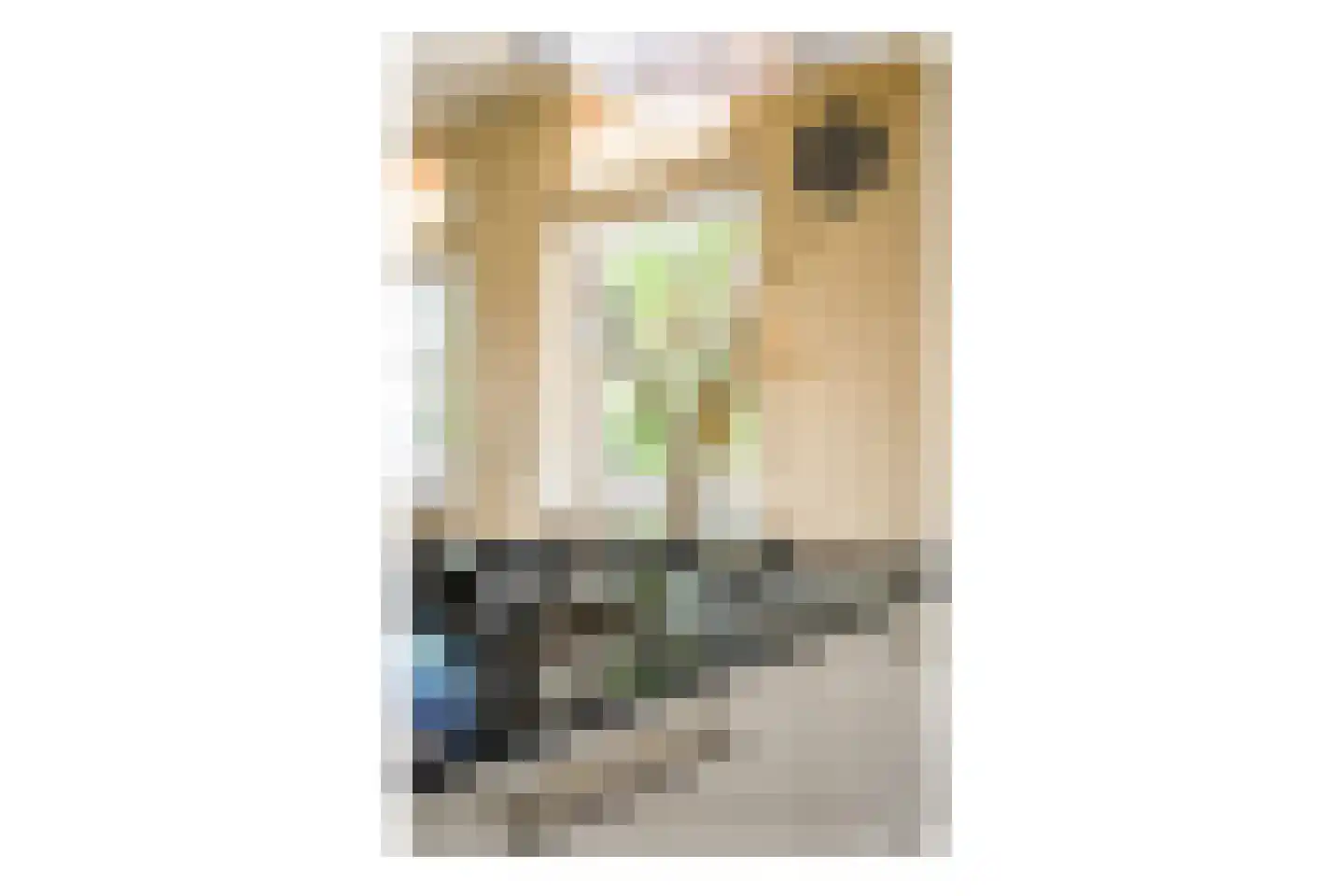 Kistenmakerseiland 13 Landsmeer thumbnail 11