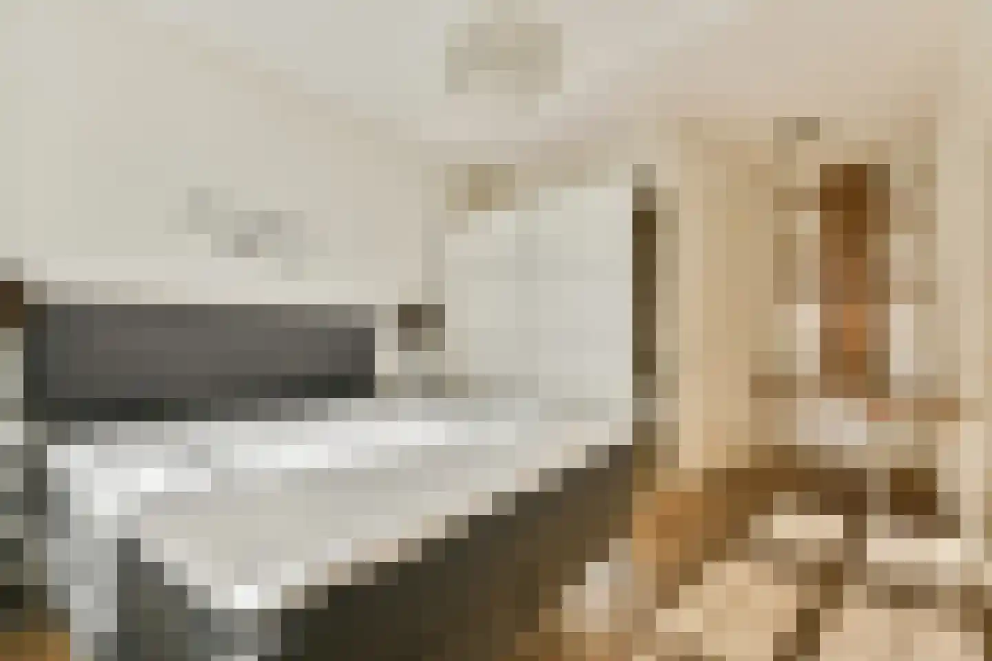 Kistenmakerseiland 3 Landsmeer thumbnail 12
