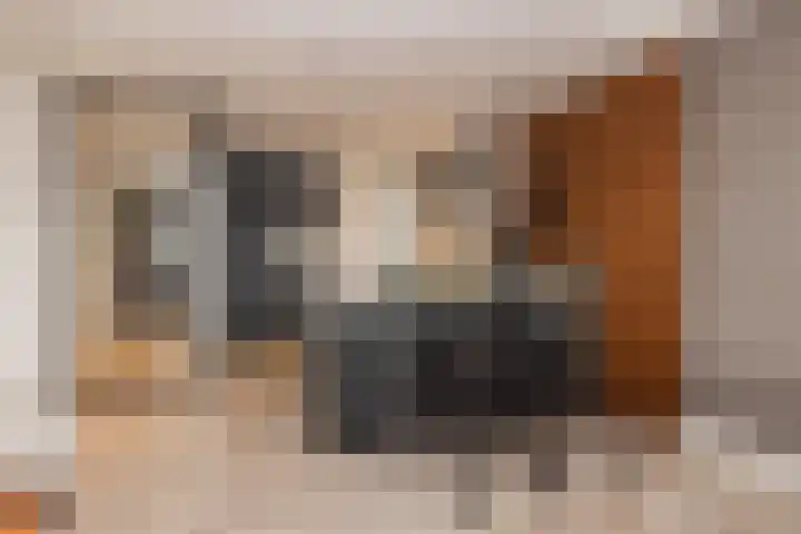 Kistenmakerskade 10 Lisse thumbnail 10