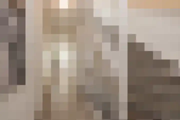 Kistenmakerskade 10 Lisse thumbnail 18