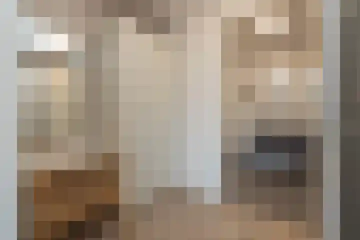 Kistenmakerskade 10 Lisse thumbnail 21