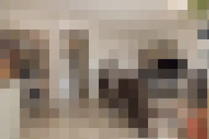 Kistenmakerskade 10 Lisse thumbnail 25