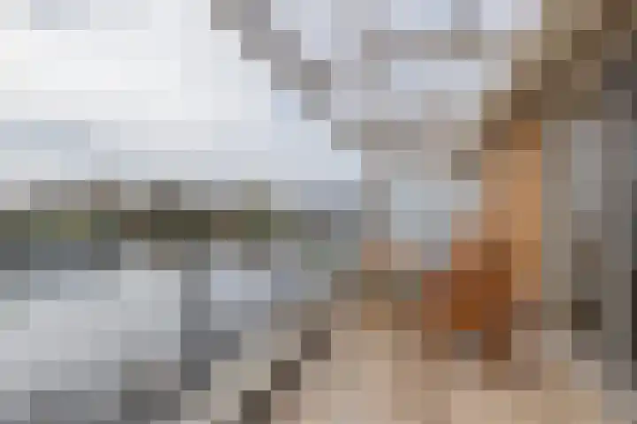 Kistenmakerskade 10 Lisse thumbnail 36
