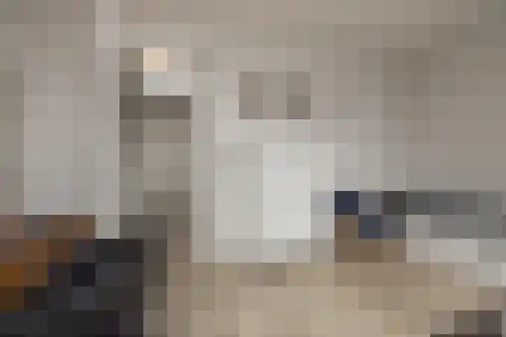 Kistenmakerskade 10 Lisse thumbnail 38