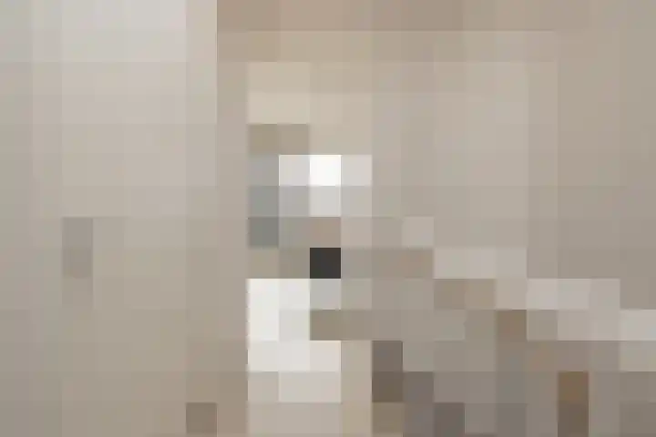 Kistenmakerskade 10 Lisse thumbnail 39