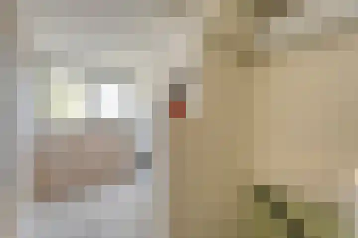 Kisveldbrink 28 Enschede thumbnail 31