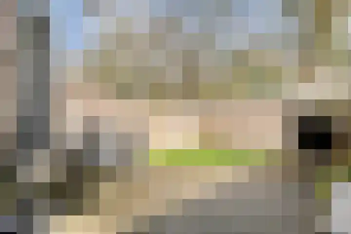 Kisveldbrink 28 Enschede thumbnail 36