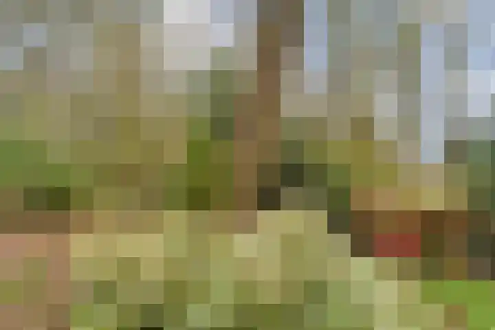 Kisveldbrink 28 Enschede thumbnail 42