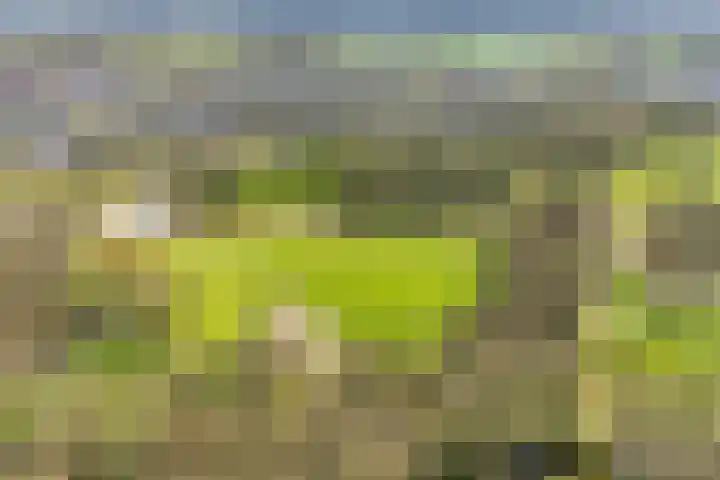 Kisveldbrink 28 Enschede thumbnail 46