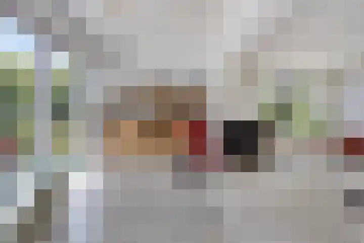 Kitskensdal 27 Roermond thumbnail 12