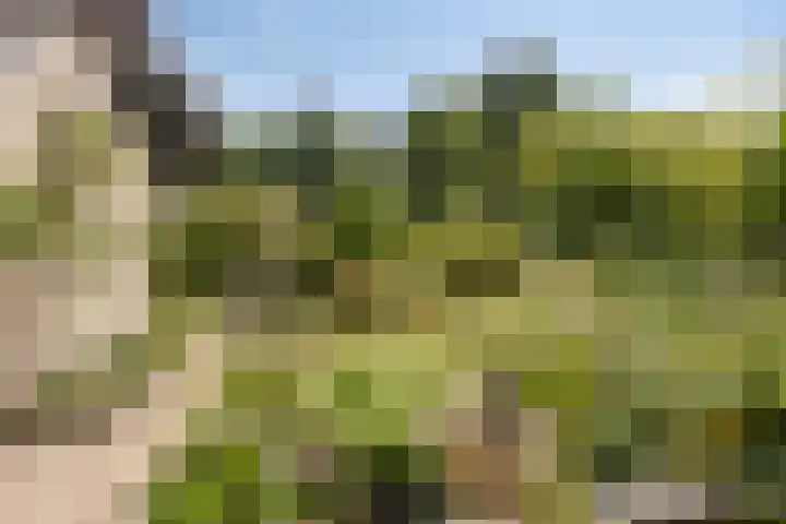 Kitskensdal 27 Roermond thumbnail 34