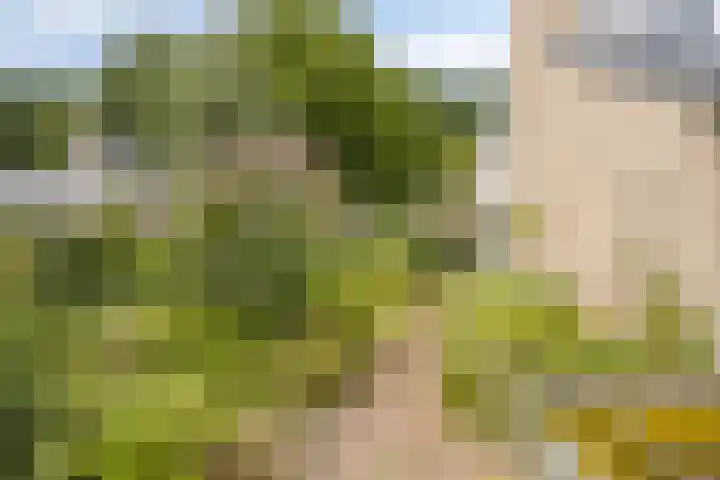 Kitskensdal 27 Roermond thumbnail 35