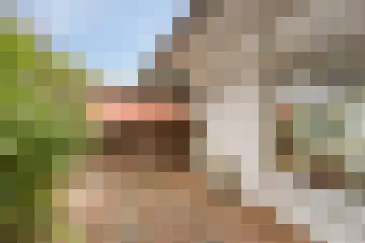 Kitskensdal 27 Roermond thumbnail 36