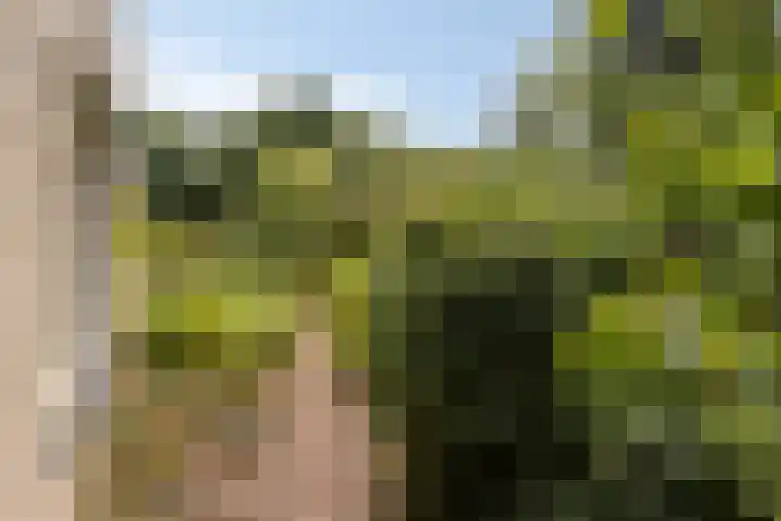 Kitskensdal 27 Roermond thumbnail 37