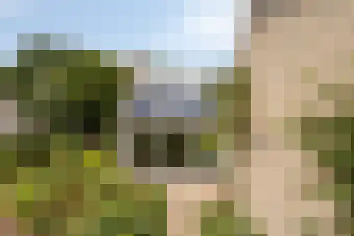 Kitskensdal 27 Roermond thumbnail 39