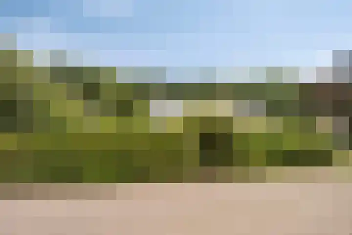 Kitskensdal 27 Roermond thumbnail 40