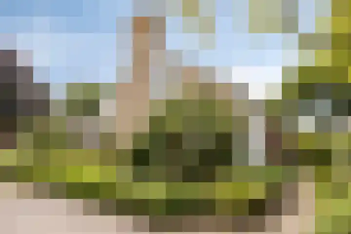 Kitskensdal 27 Roermond thumbnail 44