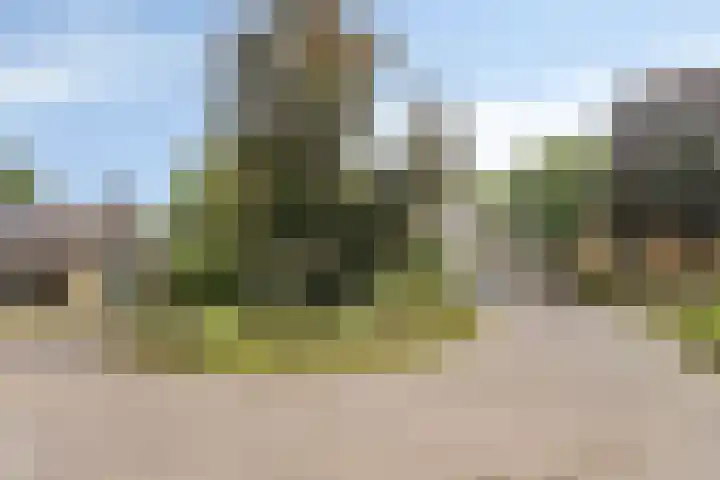 Kitskensdal 27 Roermond thumbnail 45