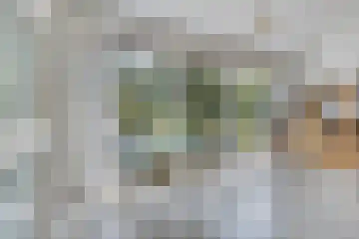 Kitskensdal 27 Roermond thumbnail 9