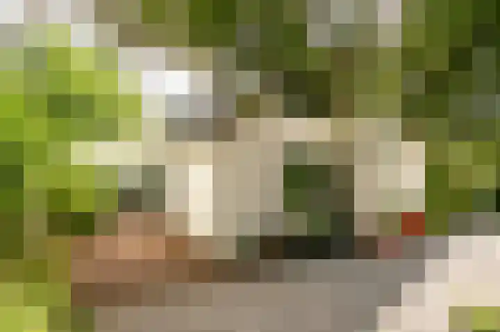 Kitskensdal 30 Roermond thumbnail 20