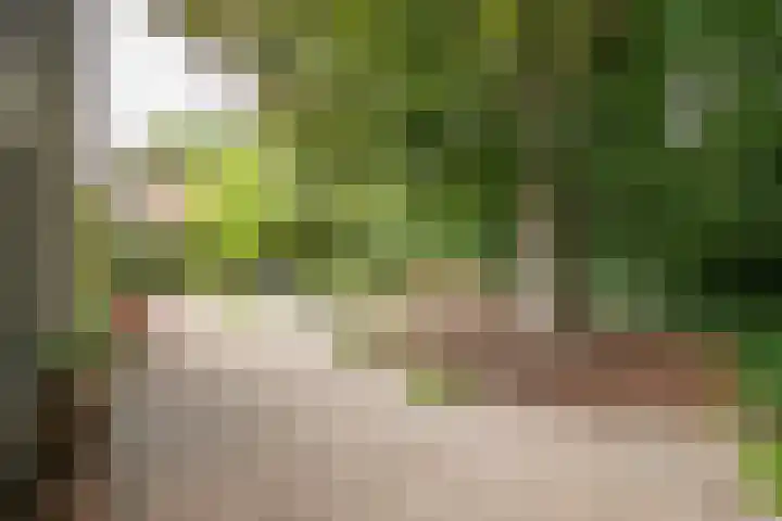 Kitskensdal 30 Roermond thumbnail 21