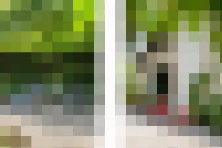 Kitskensdal 30 Roermond thumbnail 22