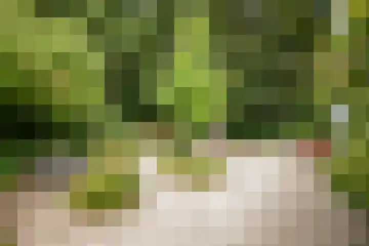 Kitskensdal 30 Roermond thumbnail 23