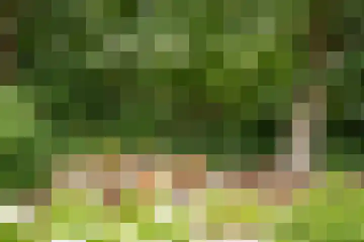 Kitskensdal 30 Roermond thumbnail 24