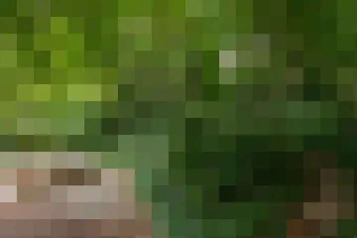 Kitskensdal 30 Roermond thumbnail 25